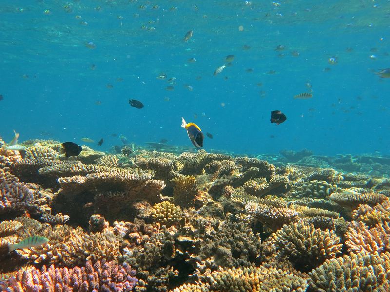 Baa Atoll