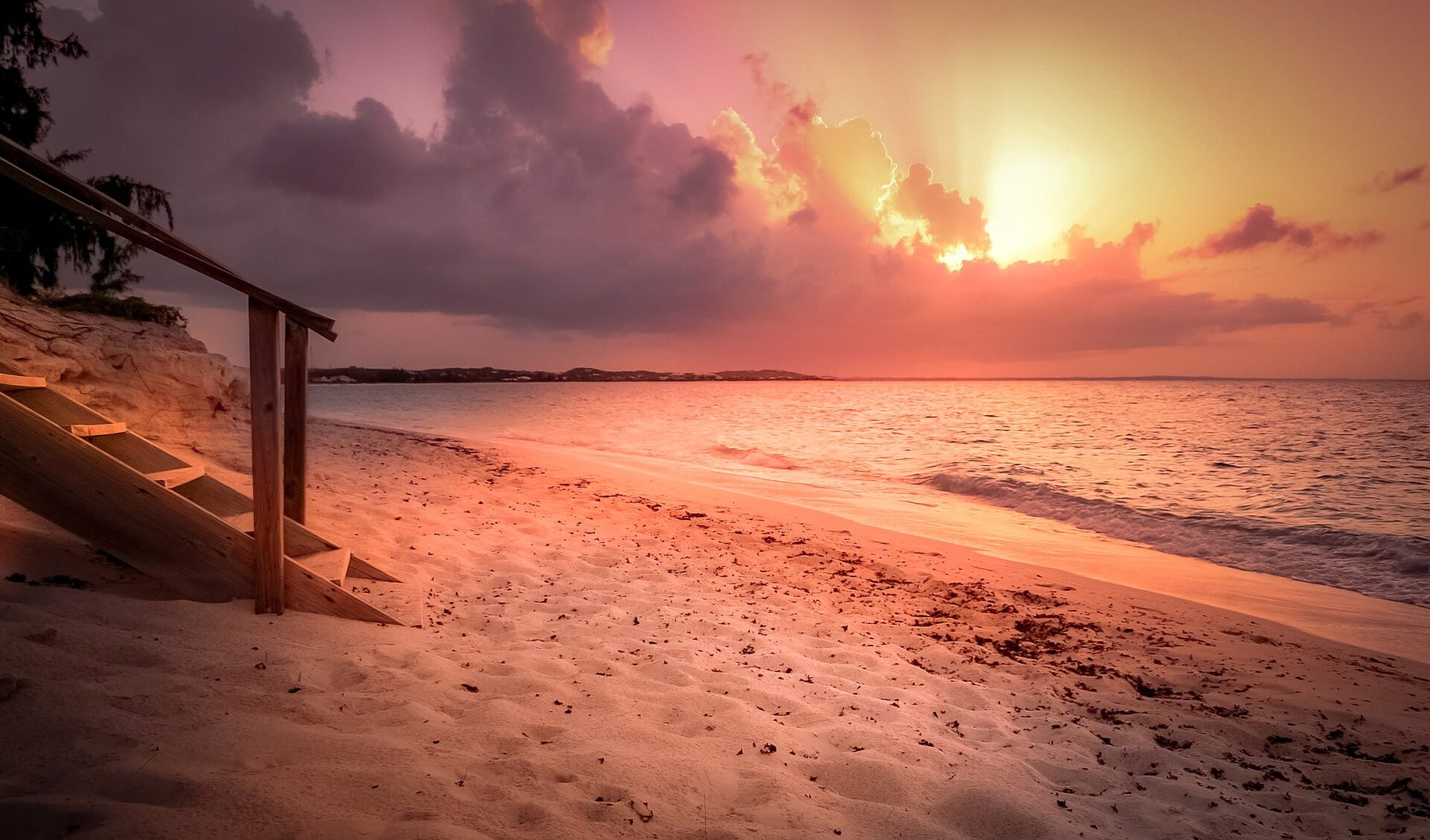 Parrot Cay