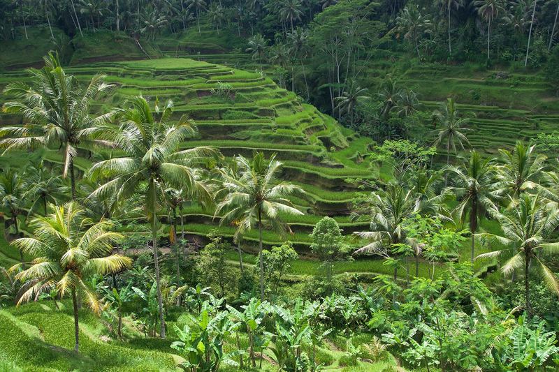 Ubud